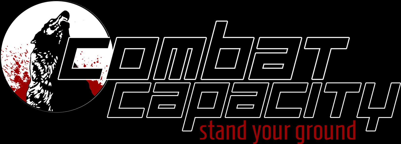 Combat Capacity, Kampfsport, Selbstverteidigung, W&uuml;rzburg